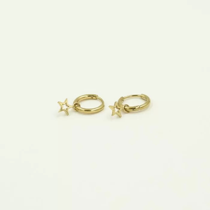 Sofia oorbellen goud